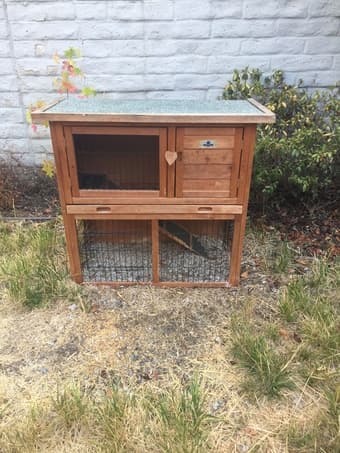 Pet supplies 1