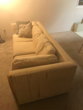 Free Couch w/ Good Vibes 3