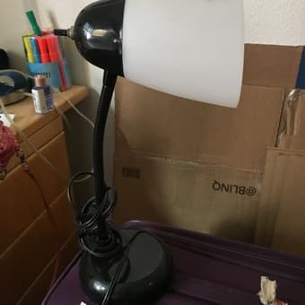 Desk Lamp (no bulb) 1