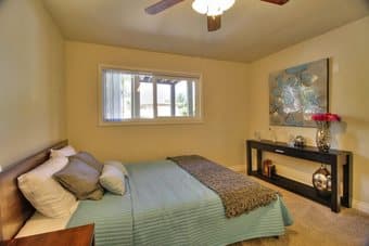 Short rent: 1b1b in 2b2b - San Antonio Shopping Center area 9.20-10.6 3