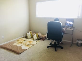 Private bedroom with attached bath in a 3BR/2bath apt in Mountain View 3