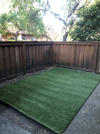 Artificial grass (soft lawn) for EV Backyard 1