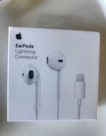 Car seat+ Apple earphones 3