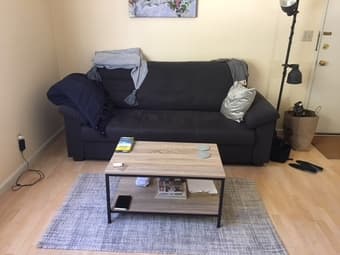 Ikea couch, desk, chair, lamp, shelf + coffee table. 1