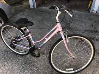 Raleigh Bikes Detour 1