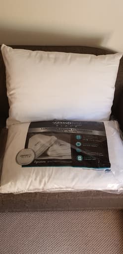 2 Beautyrest pillows for sale - with pillow cover 1