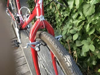Specialized Rockhopper, Vintage, 15-Speed, Red, 17.5-Inch/Small, 24” W 3