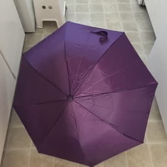 Umbrella 1