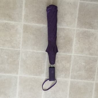 Umbrella 2