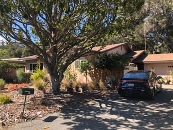 Palo Alto 独立屋 studio 出租 1