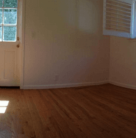 Pet friendly house for young professionals 1