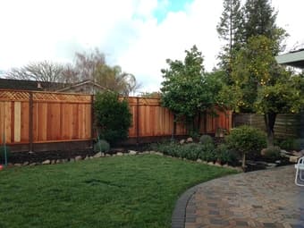Pet friendly house for young professionals 2