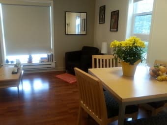 Room in 2-Bed Rains Apt available Oct 26-early Jan (female only) 1