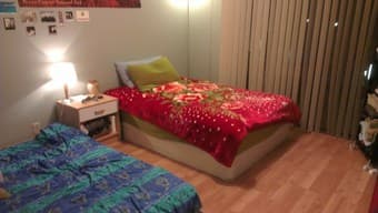 Room available in large, beautiful apartment in Mountain View 3