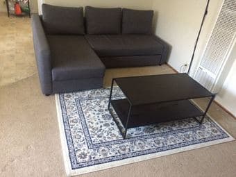 IKEA Rug ( VALLÖBY Rug) 1
