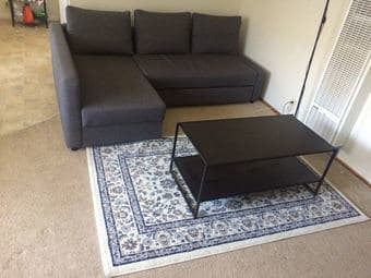 IKEA Rug 1