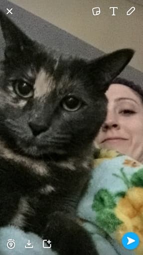 Roommate(s) Wanted! 2