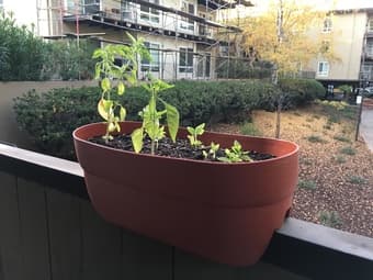Rail planters 1