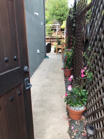 STUDIO IN BELMONT 1
