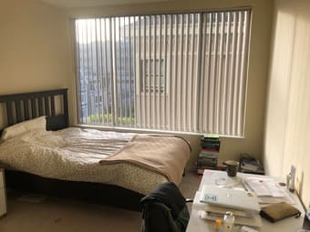 Bedroom available Dec 15-Jan 5th in a 2Br/2Ba apt in San Francisco 1