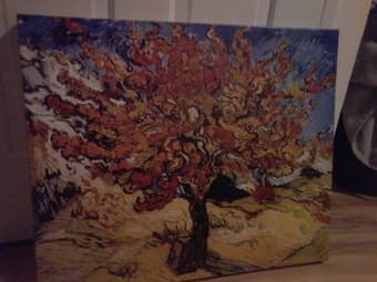 Mounted van Gogh print 1