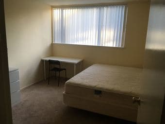 Furnished room in beautiful spacious 2B/2B apt 1