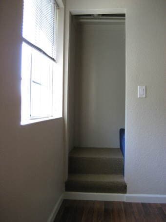 Room + Half Bath in Mountain View Townhouse 2