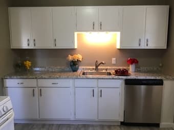 Room in cute Belmont house available 1/1/19 - Must Love Dogs! 3