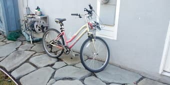 Female Bicycle 3