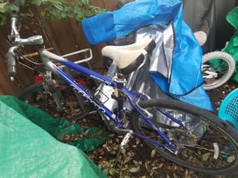 Male bike for sale 1