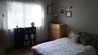 Apartment share by Cal Ave 1