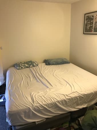 Sealy Plush Pillow Top King Mattress 2