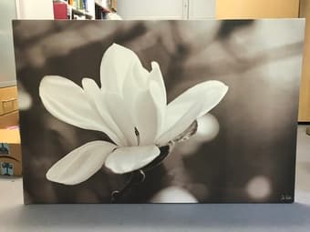 White flower painting 1