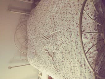 Bed for Sale/ Mattress 2