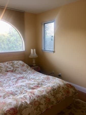 Female renter; mature, responsible, clean 1