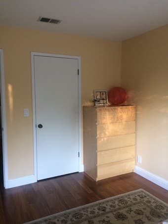 Female renter; mature, responsible, clean 3