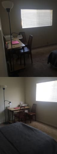 Mountain View一室一厅整套短租，2月1日起， $1,860 / month 1