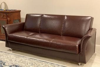 Brazilian Leather Skin Sofa Bed 1