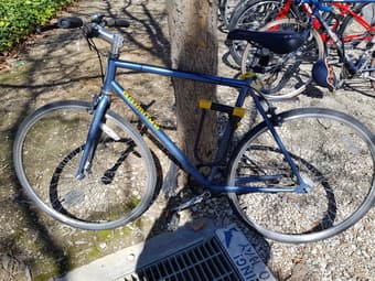 Schwinn Bike 1