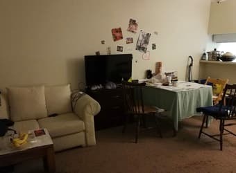 Spacious Living Room in MV near shopping center 2