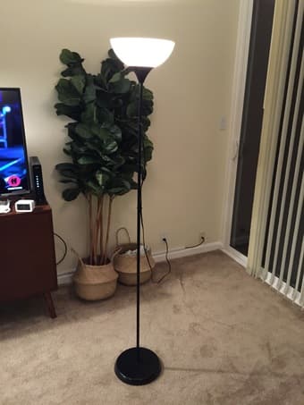 Floor Lamp+light bulb (Palo Alto) 2