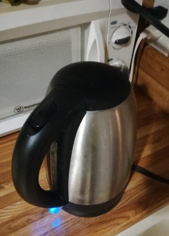 Stainless Steel Electric Kettle - 1-Liter (BPA free!!!) 1