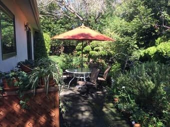 Summer sublet 3