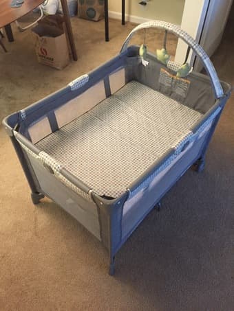 Brand New Removable Full-Size Bassinet (Palo Alto) 2