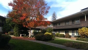 Furnished Menlo Park room available May 18 1
