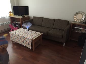 On-campus (EV) one room available in two bedroom/ one bath apartment 1