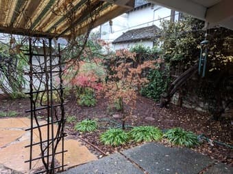 Furnished room in Down Town Los Altos Available Now 3