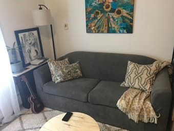 Sofa Slipcover for EV loveseat couch 1