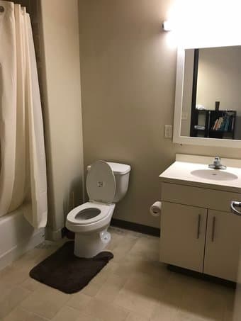 Amazing 1 bedroom 1 bath furnished Sublet in Munger 3