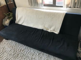 Futon & fuzzy rug for sale! 1
